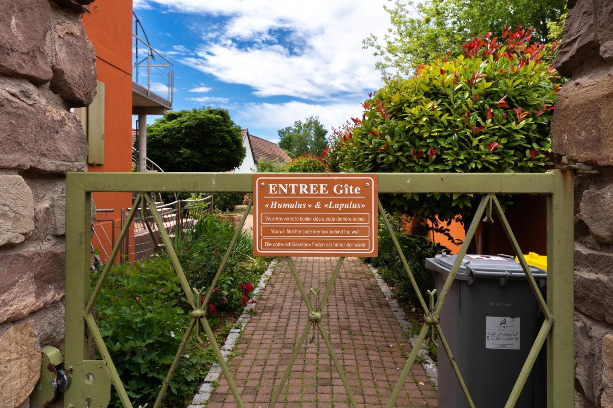 Le Gite 'Humulus' Bilwisheim ภายนอก รูปภาพ